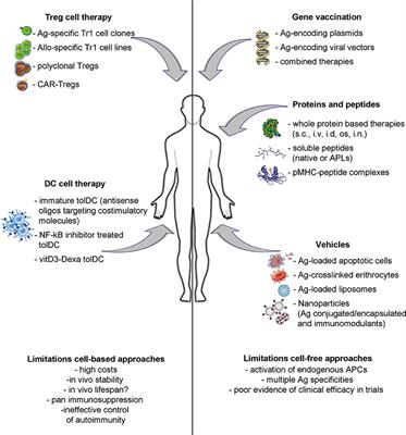 Induction of Antigen-Specific Tolerance in T Cell Mediated Diseases